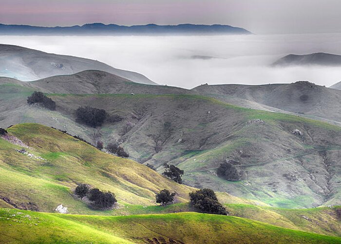 Scenics Greeting Card featuring the photograph Hillside And Fog by Joe Josephs Photography