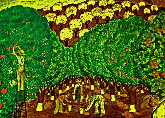 Coit Tower Greeting Card featuring the photograph Hillside Orchard Workers by Joseph Coulombe