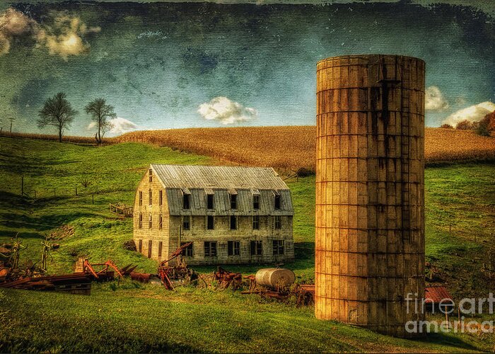 Farm Greeting Card featuring the photograph His Pride And Joy by Lois Bryan