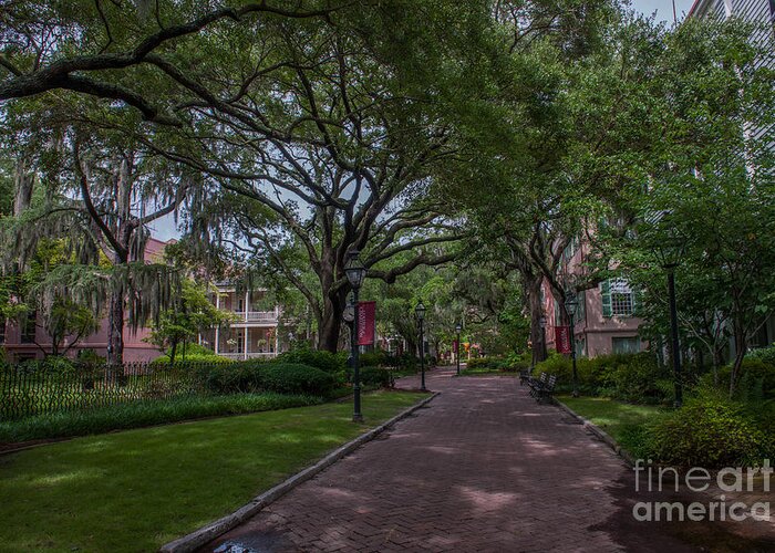 College Of Charleston Greeting Card featuring the photograph Historic Campus by Dale Powell