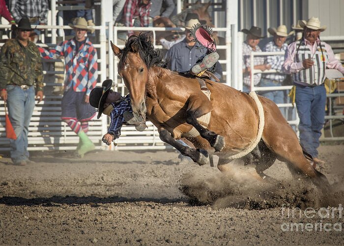  Rodeo Greeting Card featuring the photograph Hold On by Timothy Hacker