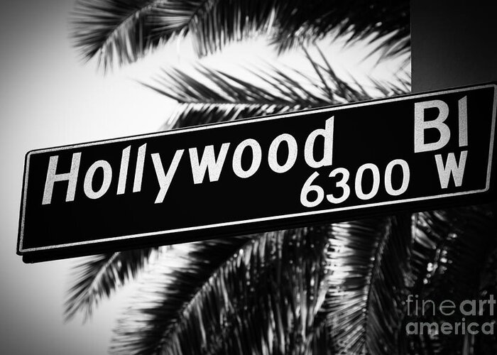 2012 Greeting Card featuring the photograph Hollywood Boulevard Street Sign in Black and White by Paul Velgos