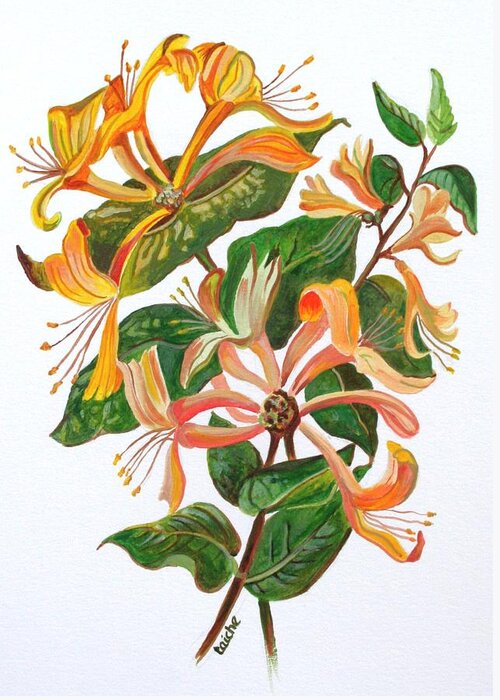 Honeysuckles Greeting Card featuring the painting Honeysuckle by Taiche Acrylic Art