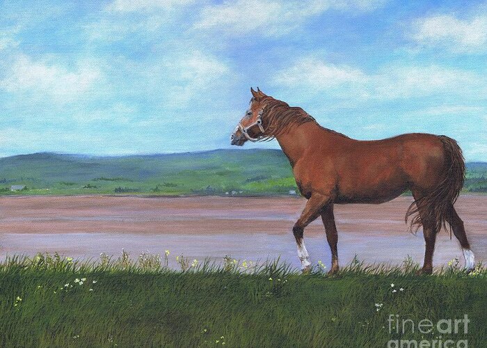 Horse Greeting Card featuring the painting Horse By The Bay by Janice Guinan