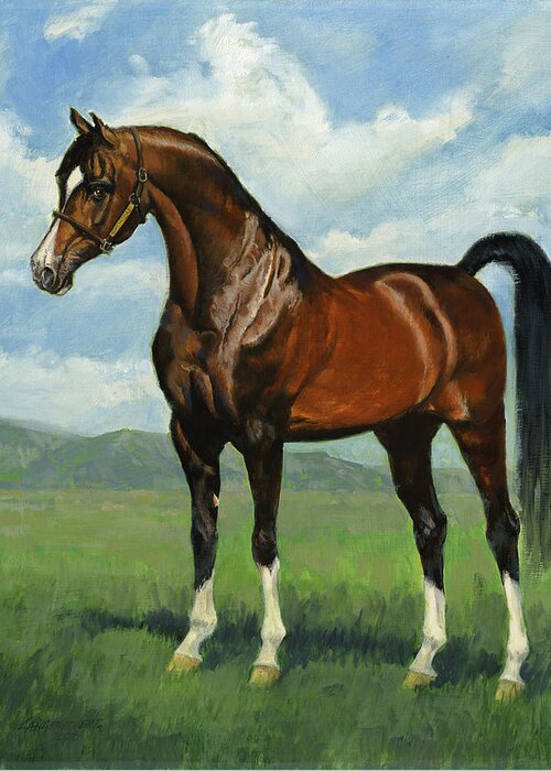 Don Langeneckert Greeting Card featuring the painting Khemosabi Champion Horse by Don Langeneckert