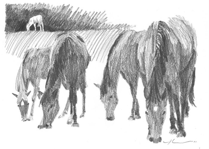 <a Href=http://miketheuer.com Target =_blank>www.miketheuer.com</a> Greeting Card featuring the drawing Horses Grazing Pencil Portrait by Mike Theuer