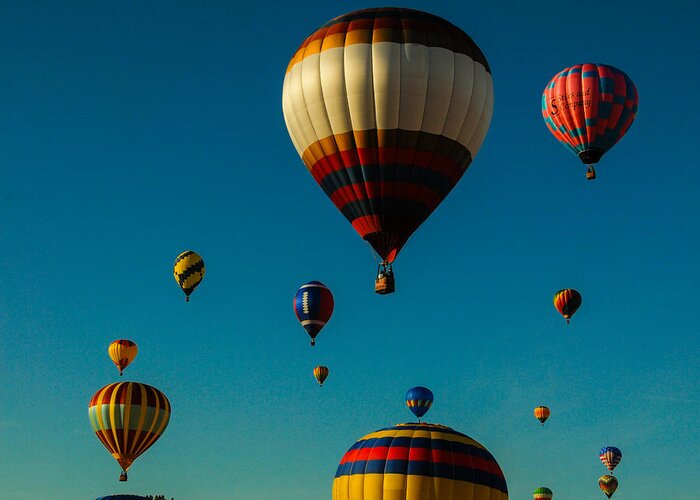 Hot Air Ballons Greeting Card featuring the photograph Hot Air Ballons by Will Burlingham