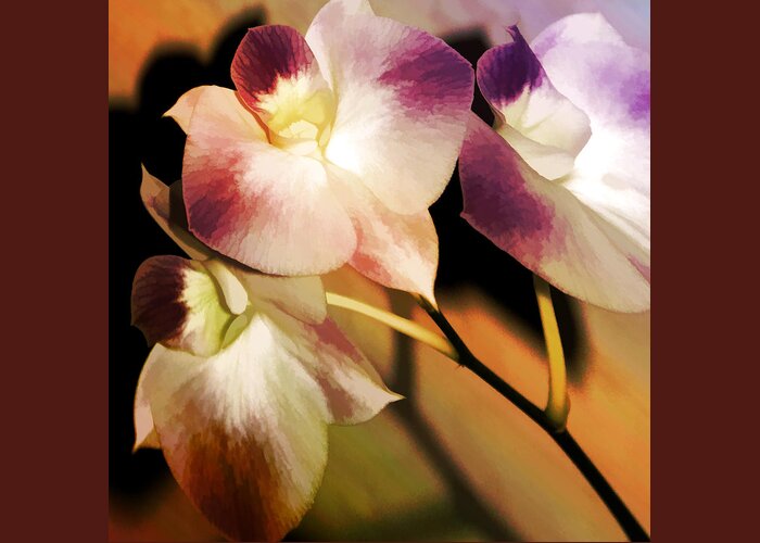 Floral Greeting Card featuring the photograph Hot Orchid Nights by Holly Kempe