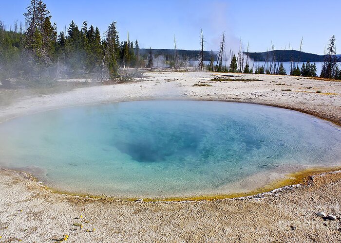 Hot Spring Greeting Card featuring the photograph Hot Spring Yellowstone by Teresa Zieba