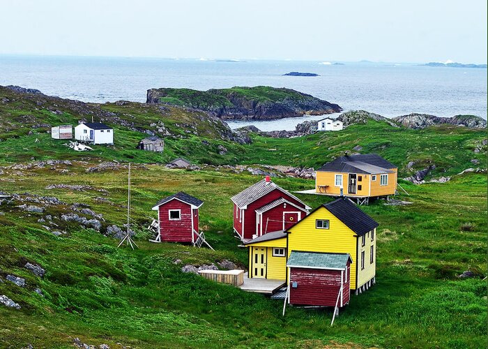 Houses On Little Fogo Island Newfoundland Greeting Card featuring the photograph Houses on Little Fogo Island Newfoundland by Lisa Phillips