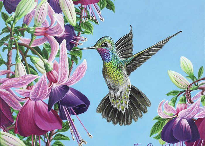 Hummingbird Greeting Card featuring the painting Hummingbird and Fuchsias by Jane Girardot
