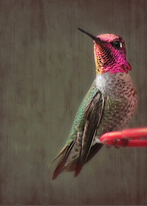 Hummingbird Greeting Card featuring the photograph Hummingbird Flare by Melanie Lankford Photography