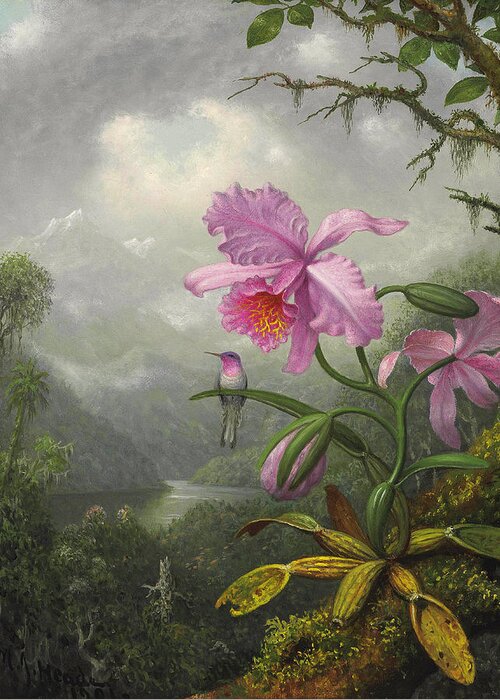 Orchid Greeting Card featuring the painting Hummingbird Perched on the Orchid Plant by Martin Johnson Heade