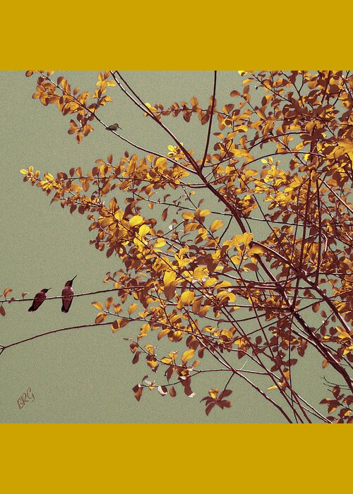 Humming Bird Greeting Card featuring the photograph Hummingbirds On Yellow Tree by Ben and Raisa Gertsberg