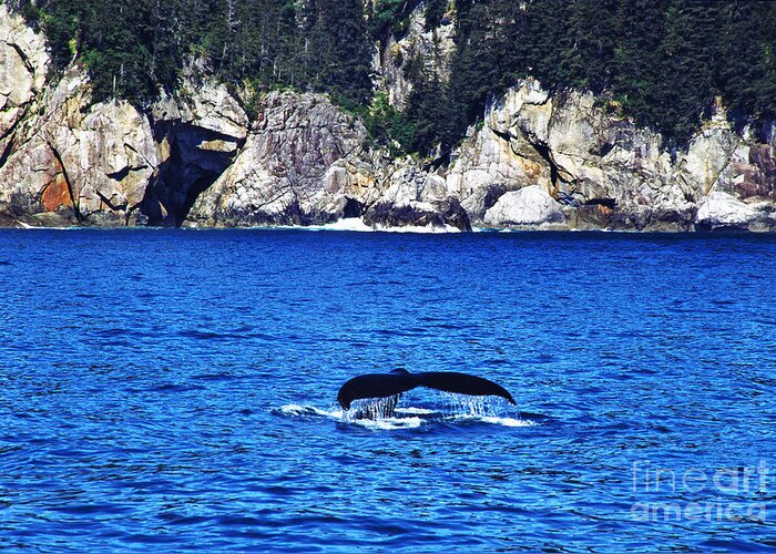 Humpback Whale Greeting Card featuring the photograph Humpback Whale Alaska by Thomas R Fletcher