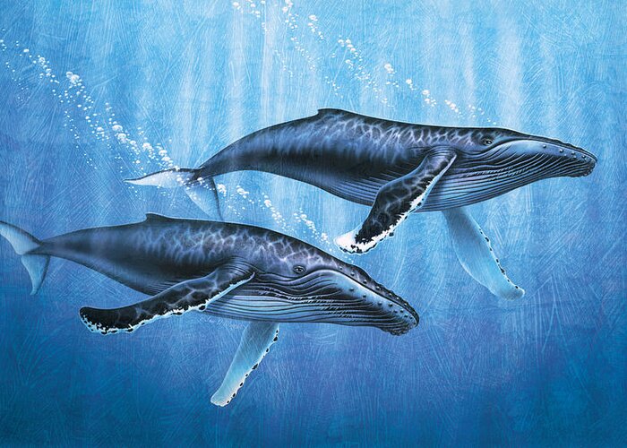 Jon Q Wright Greeting Card featuring the painting Humpback Whales by JQ Licensing
