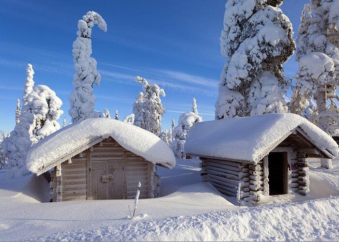 Building Greeting Card featuring the photograph Huts in forest after heavy snowfall by Science Photo Library