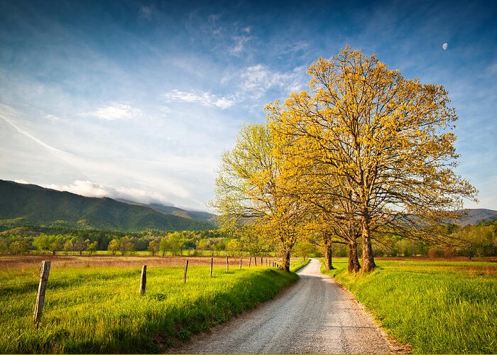 Spring Greeting Card featuring the photograph Hyatt Lane Cade's Cove Great Smoky Mountains National Park by Dave Allen