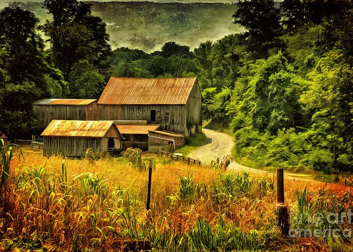 Barn Greeting Card featuring the photograph I Remember It Was In The Summer by Lois Bryan