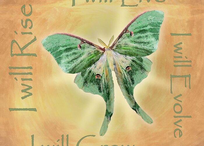 Moth Greeting Card featuring the digital art I Will by Deborah Smith