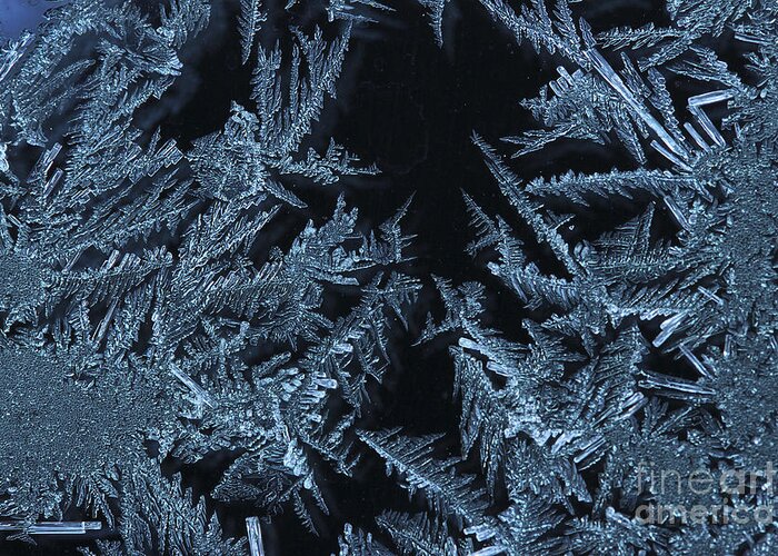 Ice Greeting Card featuring the photograph Ice Crystals by Morgan Wright