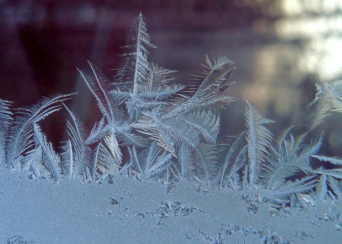 Ice Greeting Card featuring the photograph Ice Crystals of Winter by Nancy Griswold