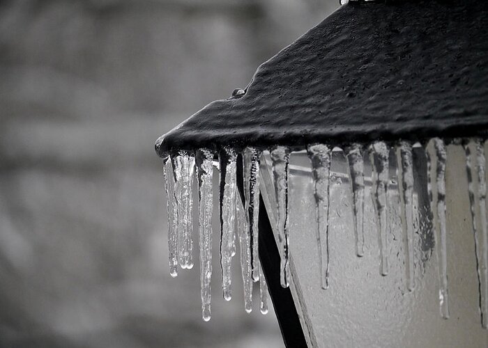 Icicle Greeting Card featuring the photograph Icicles - Lamp Post 2 by Richard Reeve