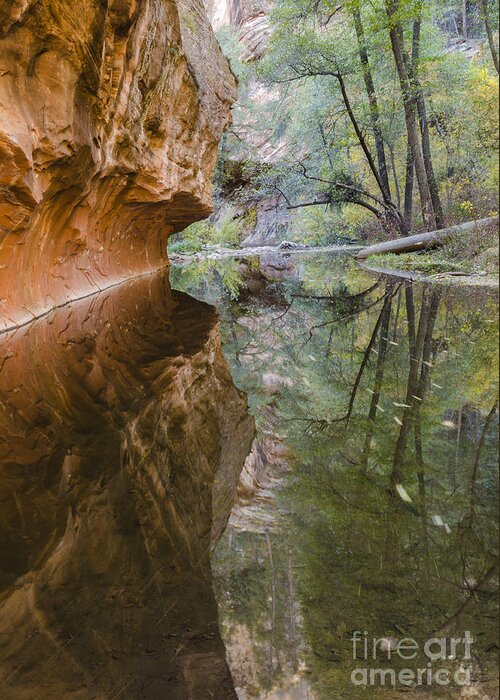 West Fork Greeting Card featuring the photograph Iconic by Tamara Becker