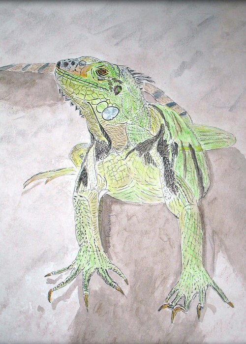 Iguana Greeting Card featuring the painting Iguana by Linda Feinberg