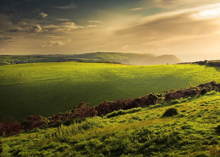 England Greeting Card featuring the photograph Illuminated Evening Landscape North Devon by Dorit Fuhg