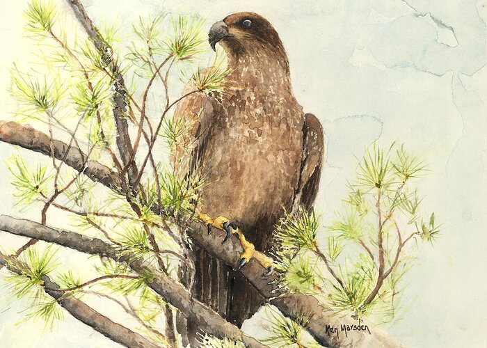 Eagle Greeting Card featuring the painting Immature Eagle by Ken Marsden