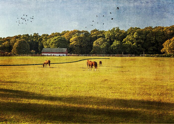 Horses Greeting Card featuring the photograph In Golden Pastures by Cathy Kovarik