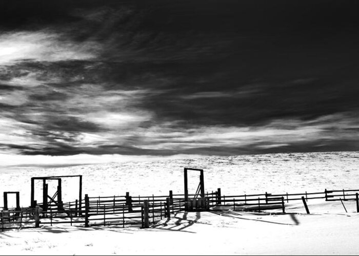 Corral Greeting Card featuring the photograph In The Bleak Midwinter by Theresa Tahara