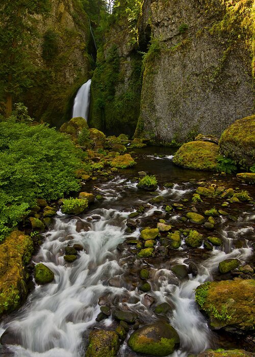 Beauty Greeting Card featuring the photograph In the Columbia River gorge. by Ulrich Burkhalter