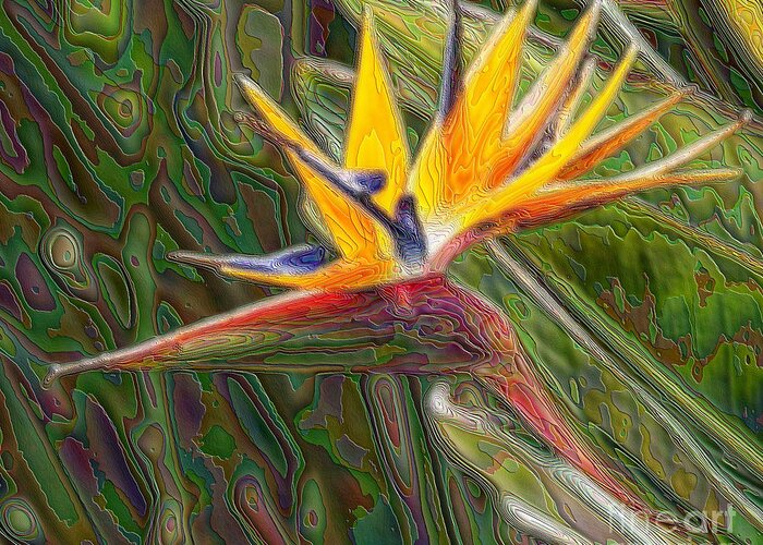 Bird Of Paradise Greeting Card featuring the photograph In The Garden Of Enlightenment by Scott Evers