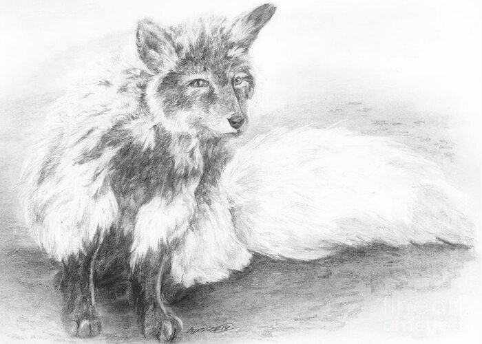 Fox Greeting Card featuring the drawing In Transition by Meagan Visser
