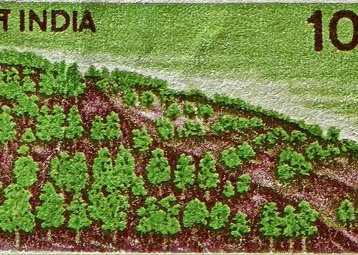 India Greeting Card featuring the photograph India 10.00 Stamp by Bill Owen