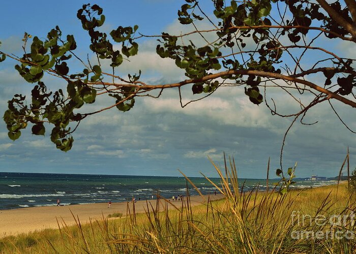 Indiana Dunes Greeting Card featuring the photograph Indiana Dunes Fauna Beachscape by Amy Lucid