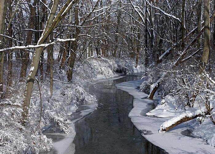 Winter Greeting Card featuring the photograph Indiana Winter by Thomas Fouch