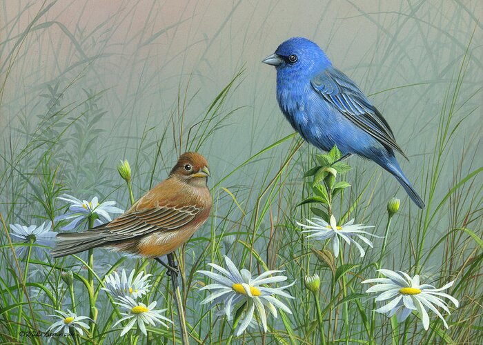 Blue Birds Greeting Card featuring the painting Indigo Bunting by Mike Brown