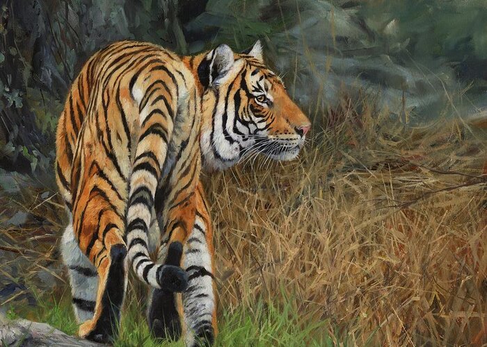 Tiger Greeting Card featuring the painting Indo-Chinese Tiger by David Stribbling