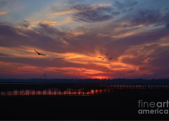 Sunset Greeting Card featuring the photograph Inlet Sunrise by Kathy Baccari