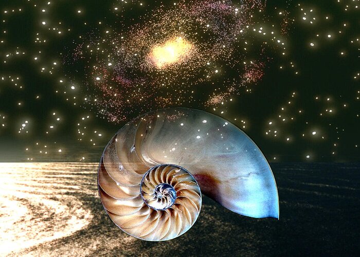 Shell Greeting Card featuring the digital art Inner Space Outer Space by Lisa Yount