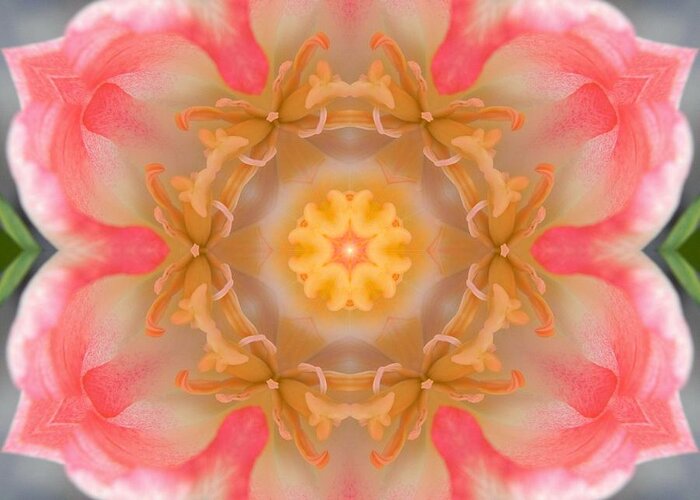 Mandalas Greeting Card featuring the digital art Inside Tulip Mandala by Diane Lynn Hix