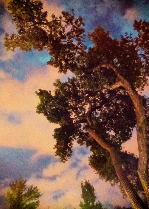 Landscapes Greeting Card featuring the photograph Inspired by Maxfield Parrish by Mary Lee Dereske