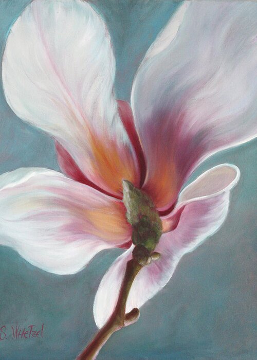 Magnolia Greeting Card featuring the painting Intimate Apparel by Sandi Whetzel