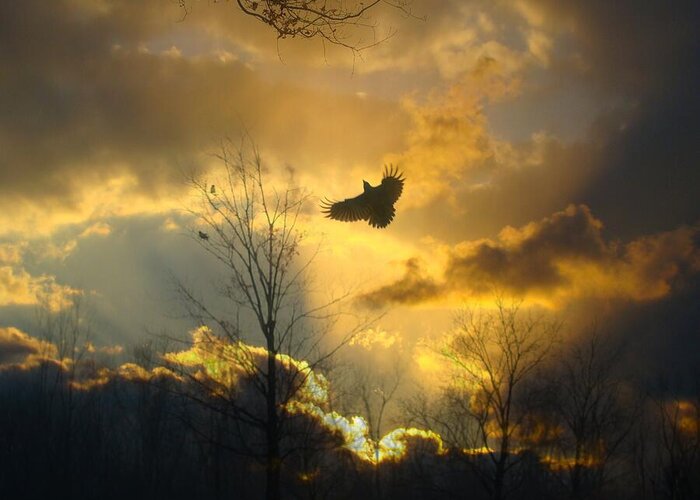 Sunset With Crow Greeting Card featuring the photograph Into The Light by Gothicrow Images