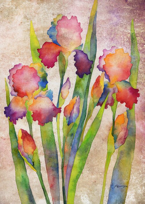 Iris Greeting Card featuring the painting Iris Elegance on Pink by Hailey E Herrera