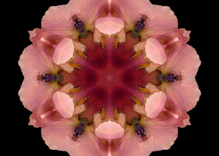 Flower Greeting Card featuring the photograph Iris Germanica Flower Mandala by David J Bookbinder