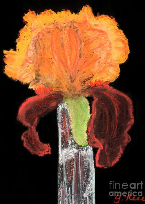 Iris Greeting Card featuring the pastel Iris on Black by Ginny Neece